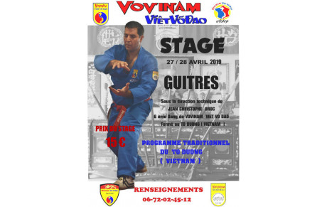 STAGE VOVINAM VIET VO DAO GUITRES 2019 